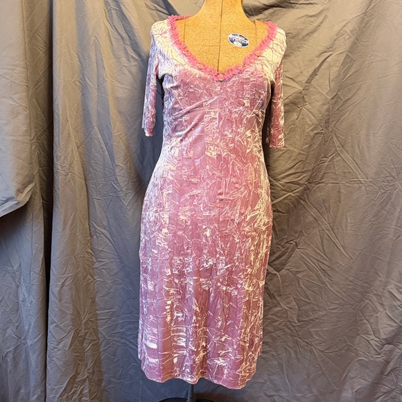 Pink Lace-Trim Soft Crushed Velvet Betsey Johnson Dress with Rose Appliques - Picture 2 of 5